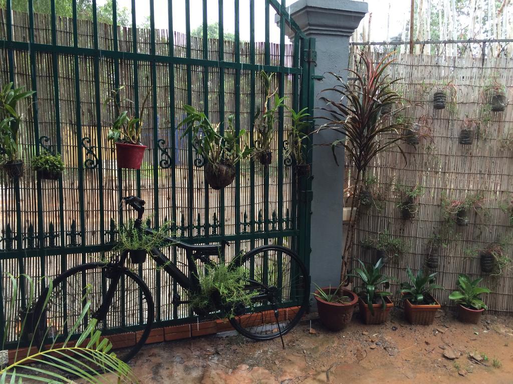 Eco-Home Siem Reap Homestay Dış mekan fotoğraf